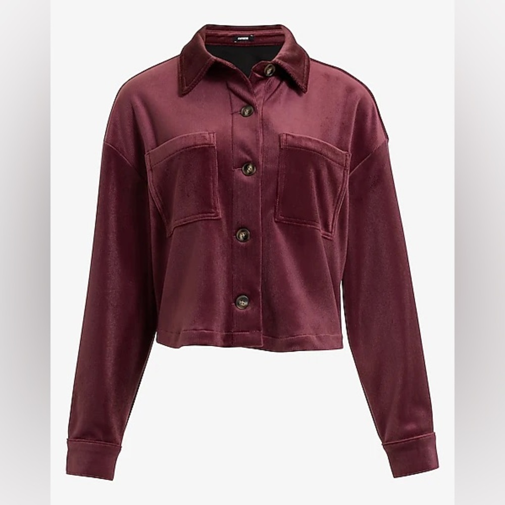 Express Cropped Velvet Corduroy Jacket • Mauve • Tortoise Buttons • Size XL